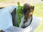 20091113225558_00_240.jpg